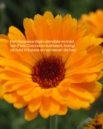 Flow Cosmetics - Marigold butter - Herstellende all-round crème - Afbeelding 3