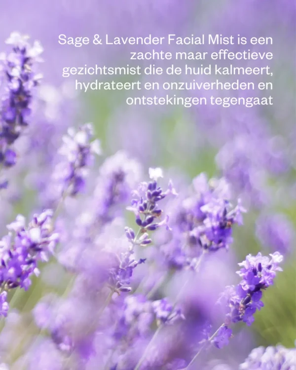 Flow Cosmetics - Sage & Lavender Facial Mist - Gezichtsmist - Afbeelding 3