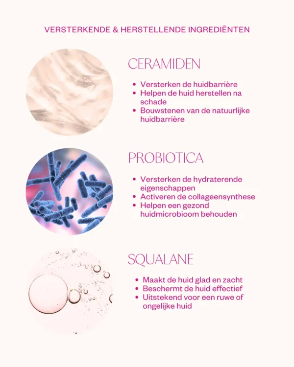 Flow Cosmetics - Ceramides & Probiotics Cream - Afbeelding 7