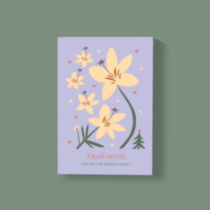 Moi Forest gift box
